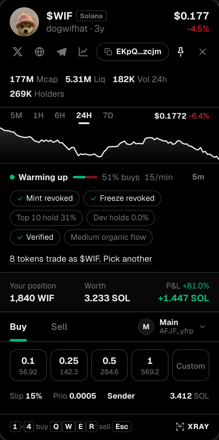 The XRAY panel on $WIF: price, chart, safety checks, your position and buy sizes
